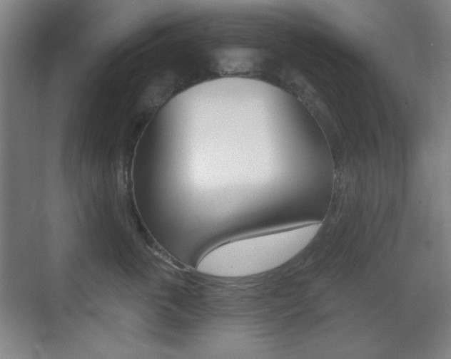 X0000070400763200606090929