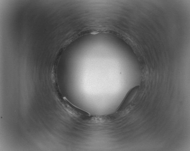 X0000070400764200606090929