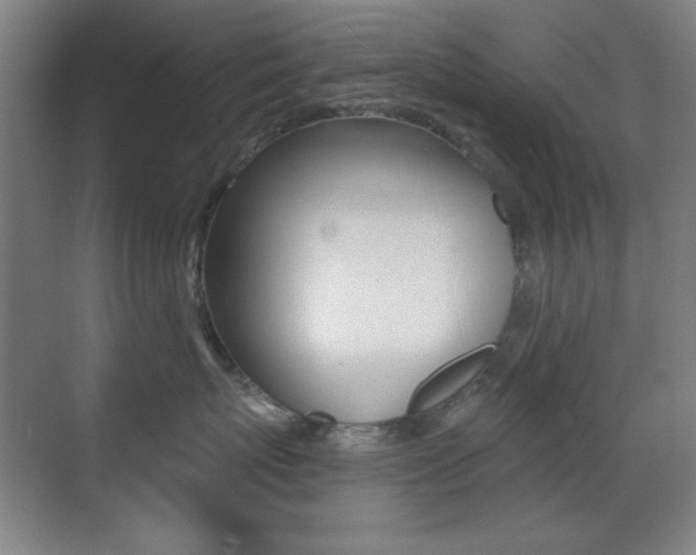 X0000070400767200606090929