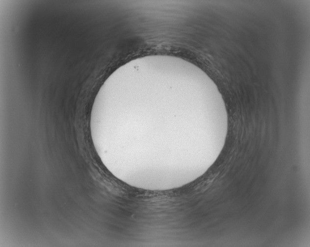 X0000070400769200606090929