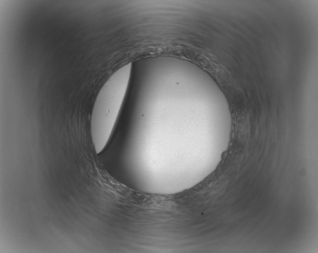 X0000070400770200606090929