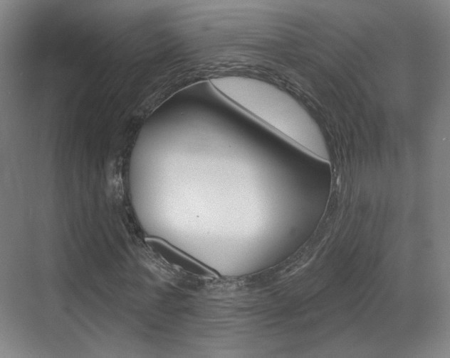 X0000070400771200606090929