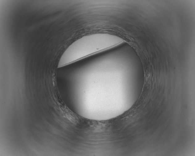 X0000070400772200606090929