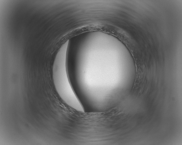 X0000070400773200606090929