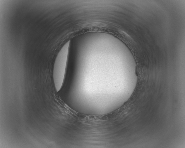 X0000070400774200606090929