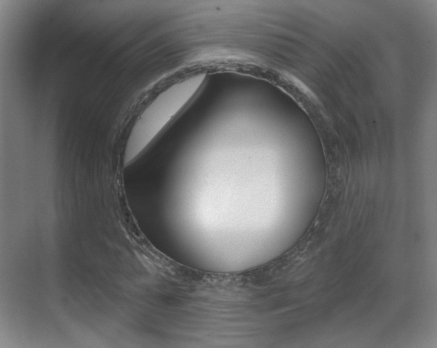 X0000070400775200606090928