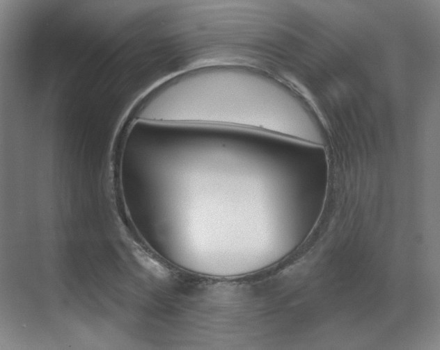 X0000070400779200606090928