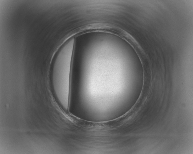 X0000070400786200606090928