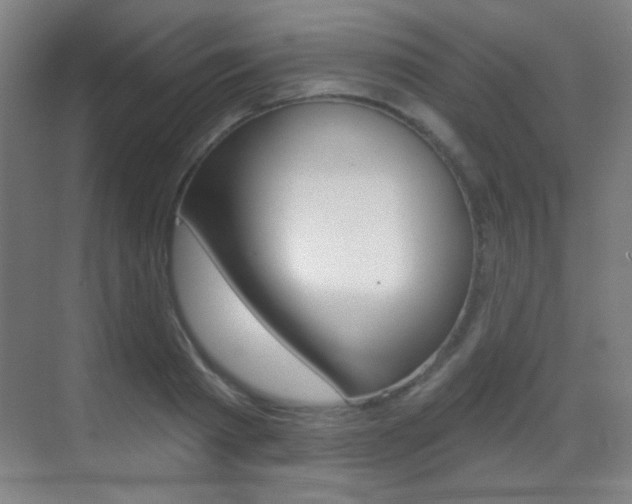 X0000070400793200606090928