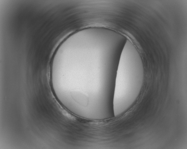 X0000070400804200606090928