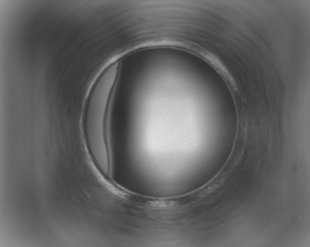 X0000070400805200606090928