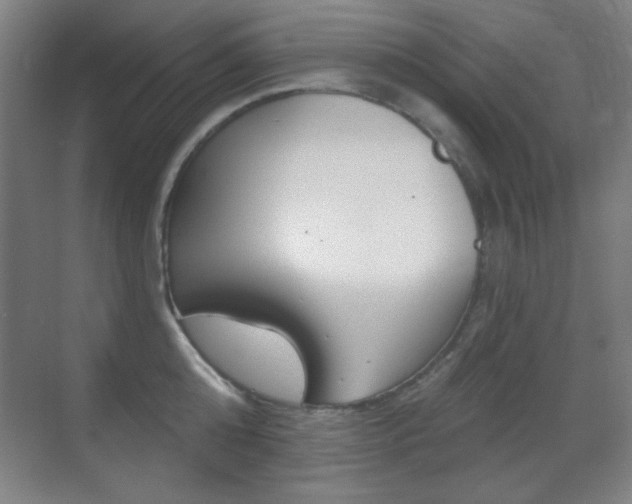 X0000070400808200606090928