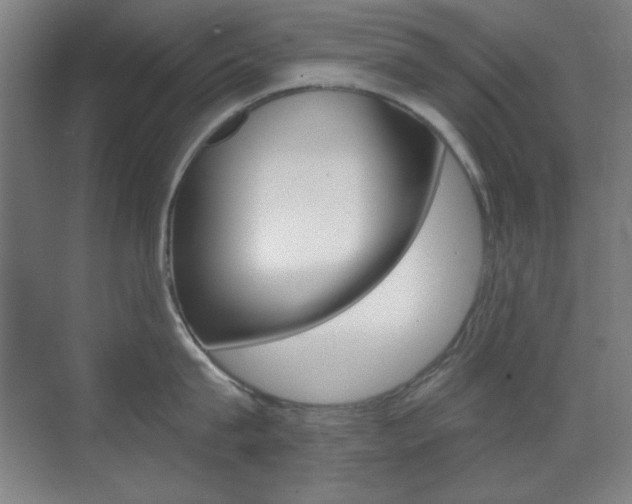 X0000070400815200606090928