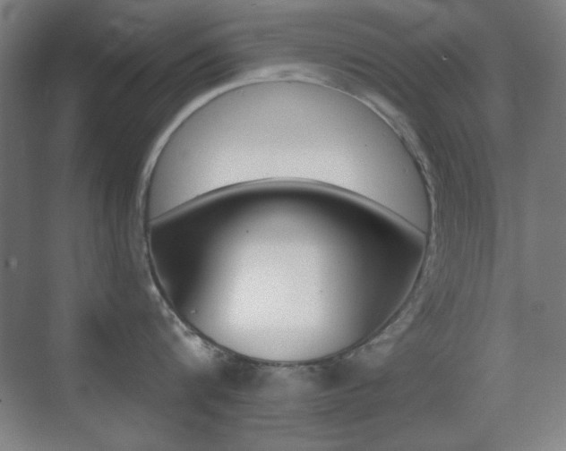 X0000070400816200606090928