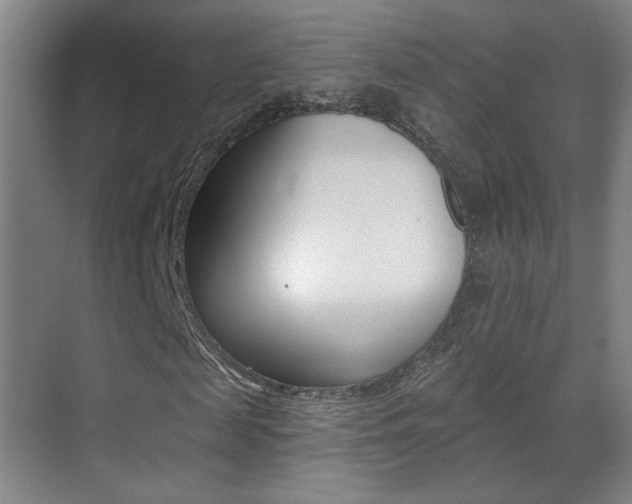 X0000070400817200606090927