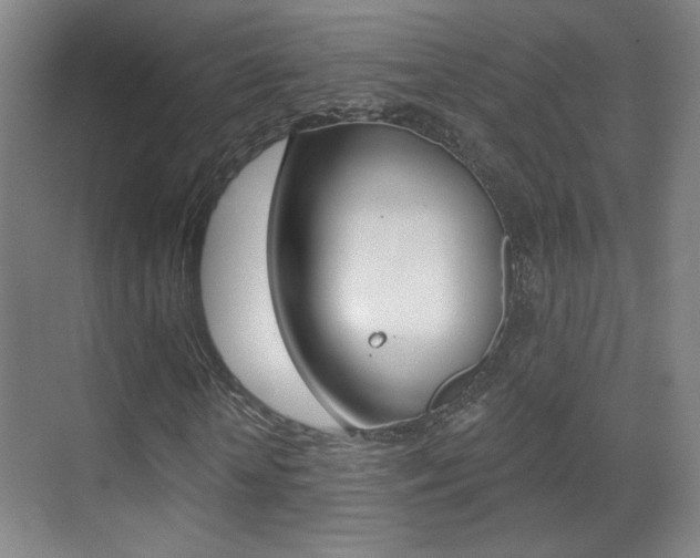X0000070400818200606090927