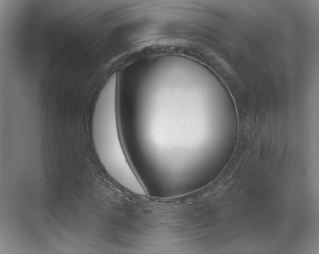 X0000070400821200606090927