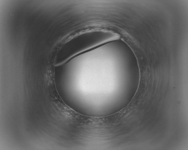X0000070400822200606090927