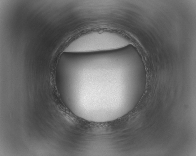 X0000070400823200606090927