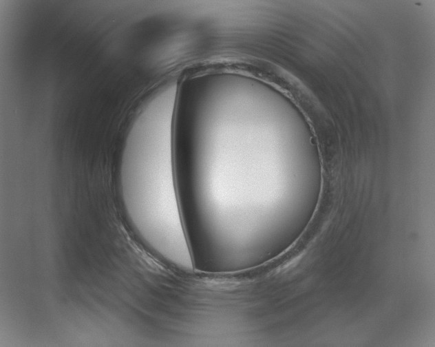X0000070400825200606090927