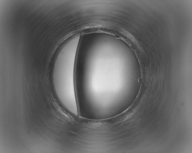 X0000070400826200606090927