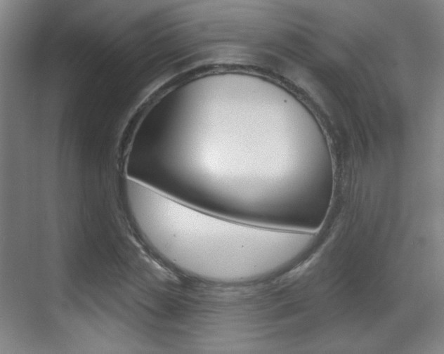 X0000070400829200606090927