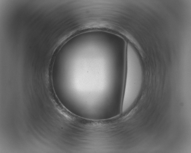 X0000070400834200606090927