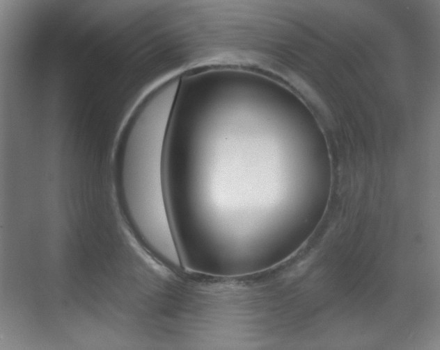 X0000070400838200606090927