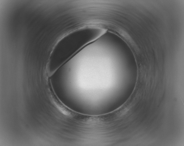 X0000070400842200606090927