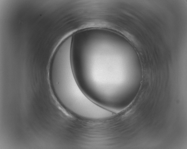 X0000070400846200606090927