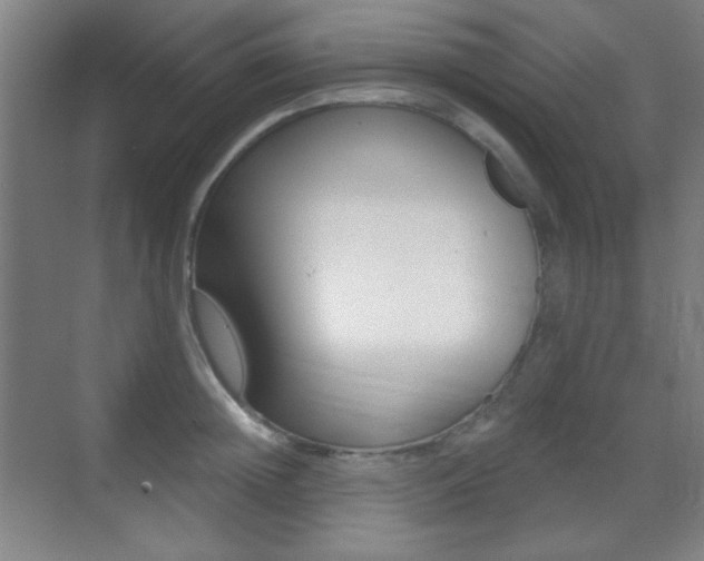 X0000070400852200606090928