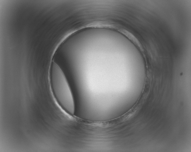 X0000070400855200606090928
