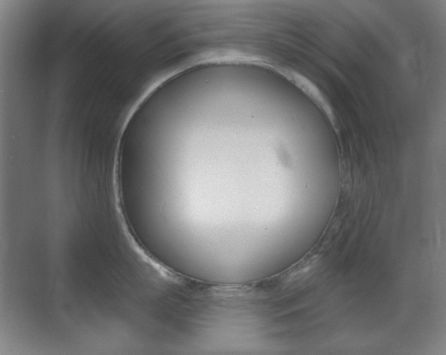 X0000070400863200606090928