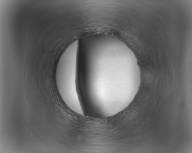 X0000070400865200606090927