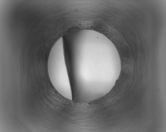 X0000070400866200606090927