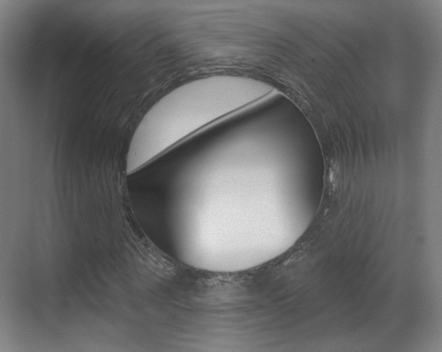 X0000070400867200606090927