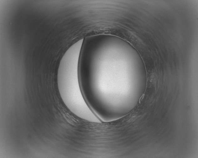 X0000070400868200606090927