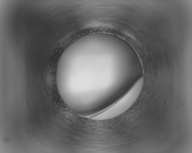 X0000070400869200606090927