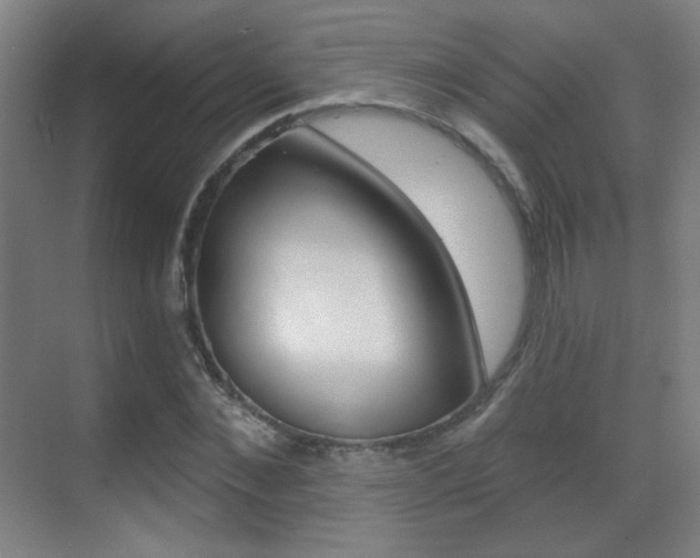 X0000070400876200606090927