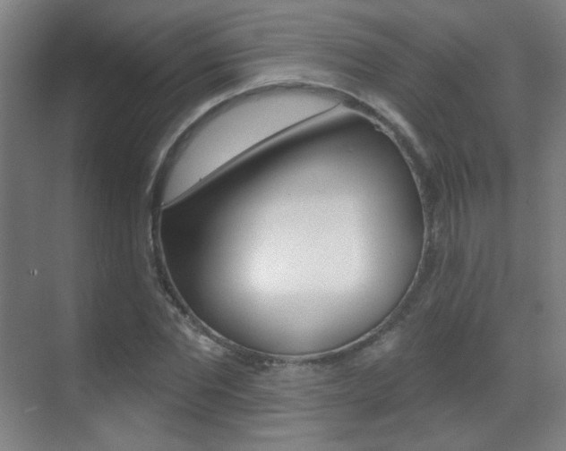 X0000070400877200606090927