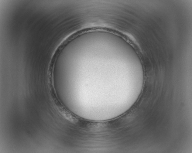 X0000070400879200606090927