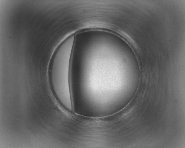 X0000070400885200606090927
