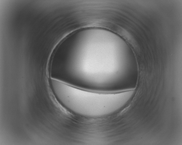 X0000070400892200606090927