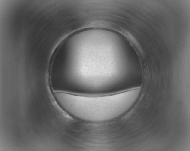 X0000070400896200606090926