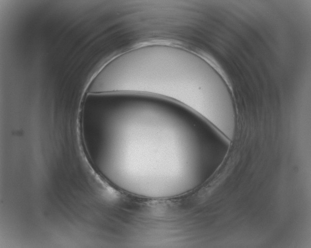 X0000070400906200606090926