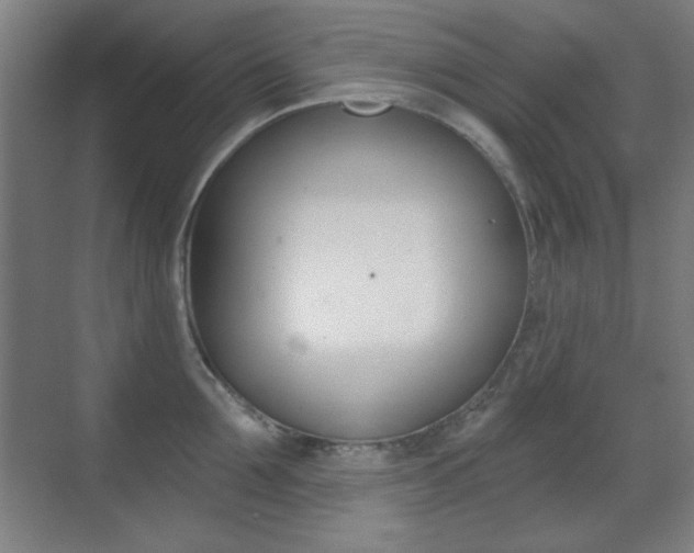 X0000070400907200606090926