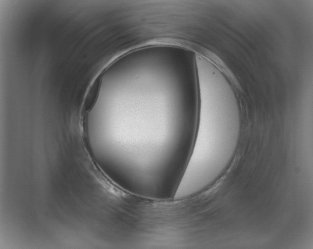 X0000070400908200606090926