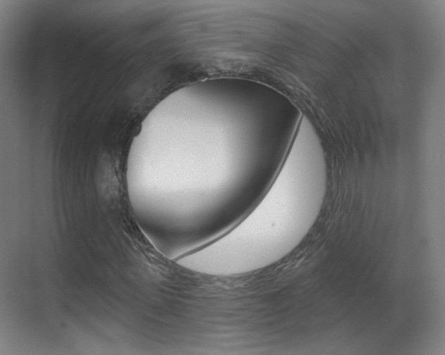 X0000070400915200606090925