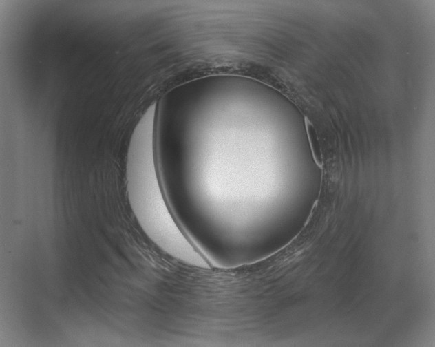X0000070400916200606090925