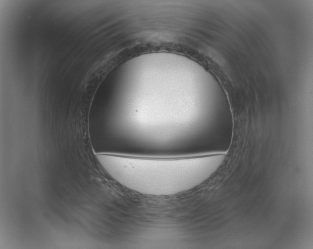 X0000070400919200606090925